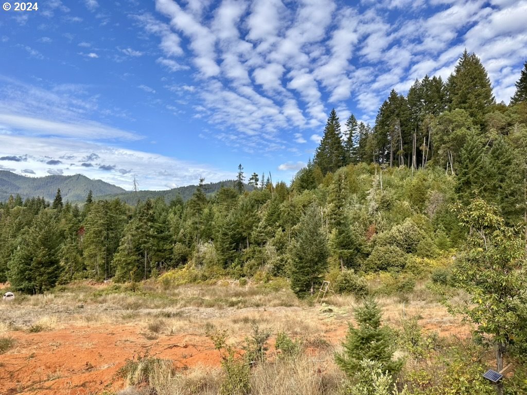 780 Tunnel Road Glendale, OR 97442 - Photo 9 of 31 a view of a yard with a tree