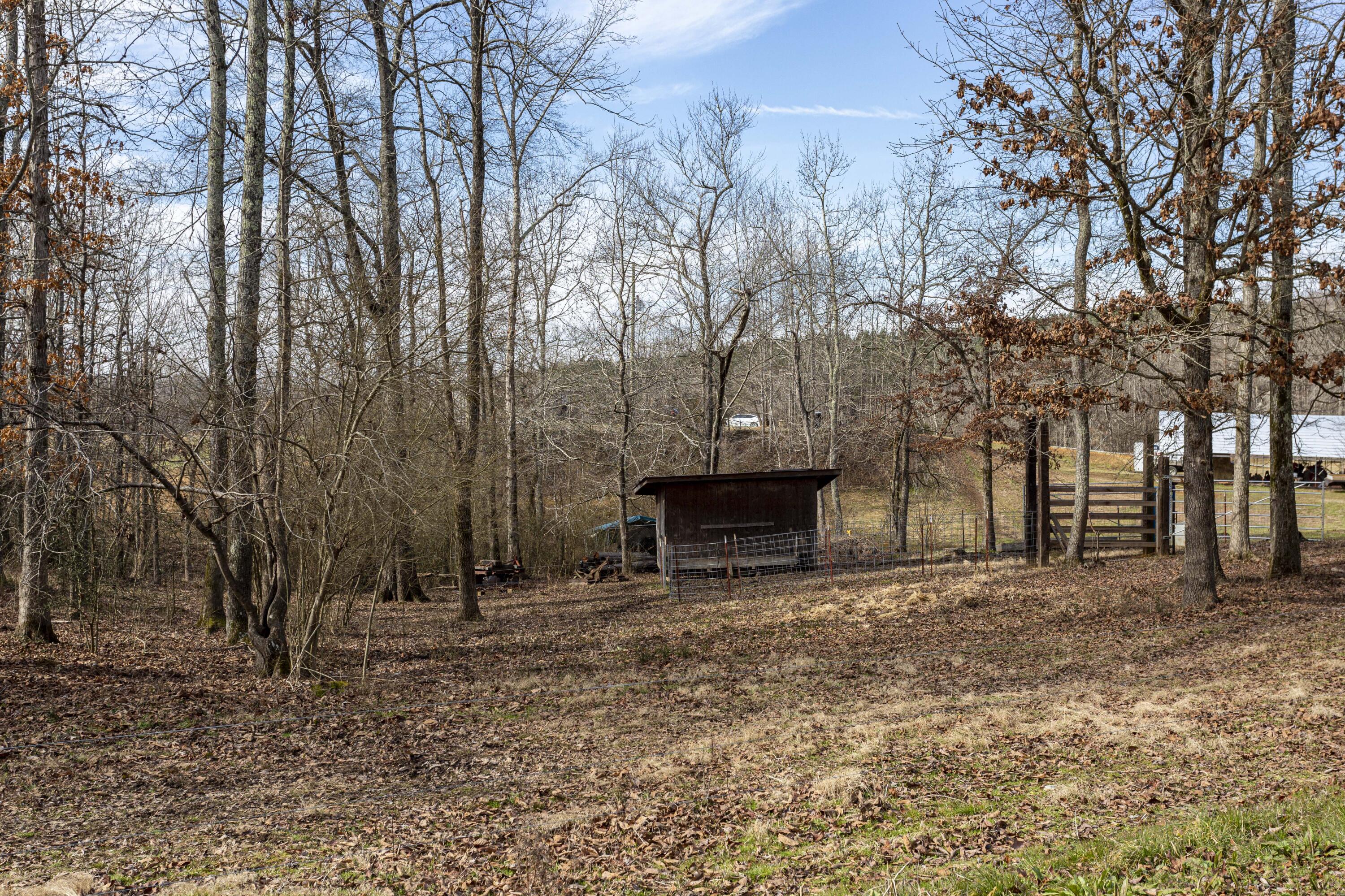 5051 Cottonport Road Dayton, TN 37321 - Photo 21 of 69 _00A3876