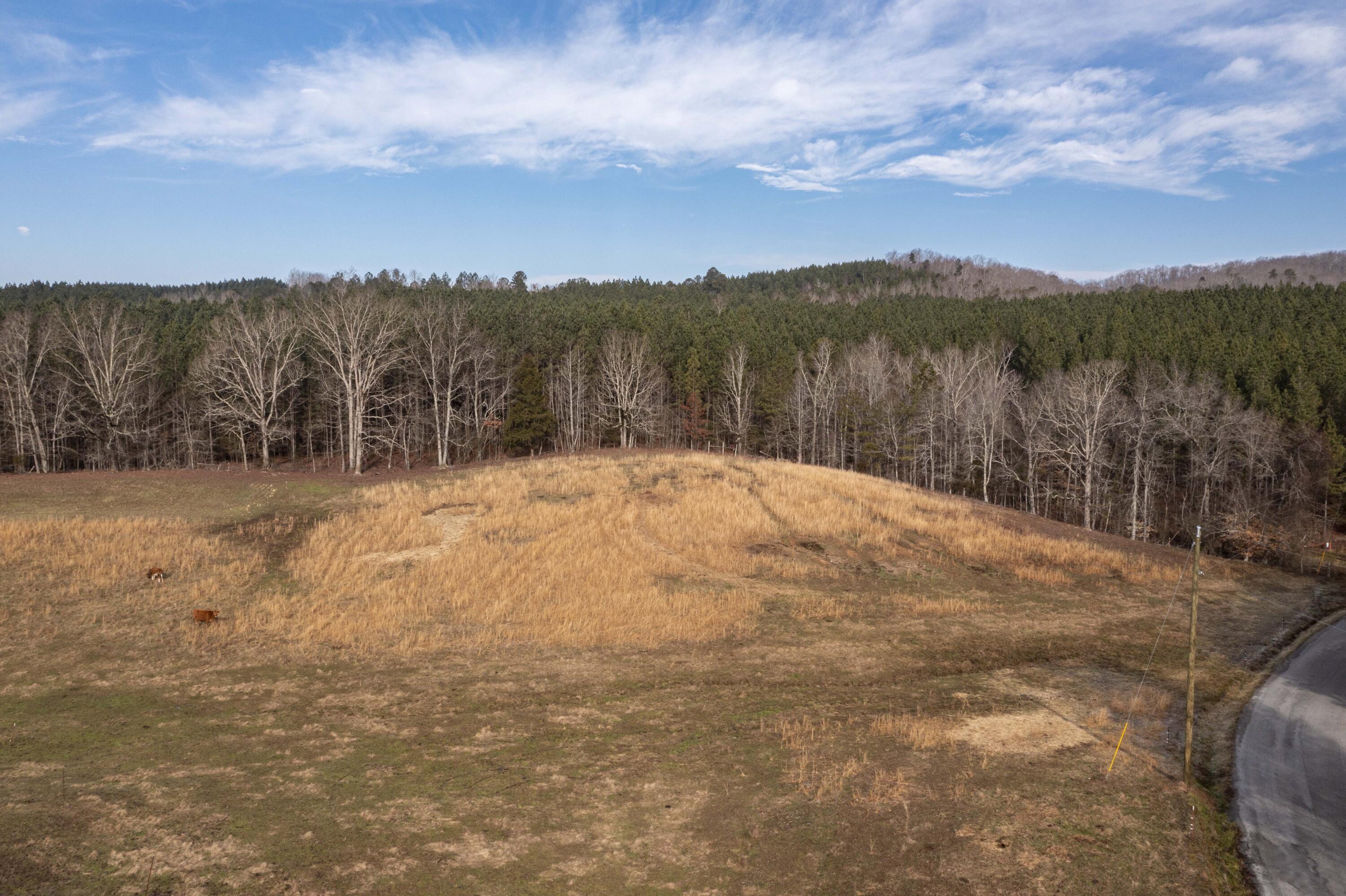 5051 Cottonport Road Dayton, TN 37321 - Photo 23 of 69 DJI_0428_1