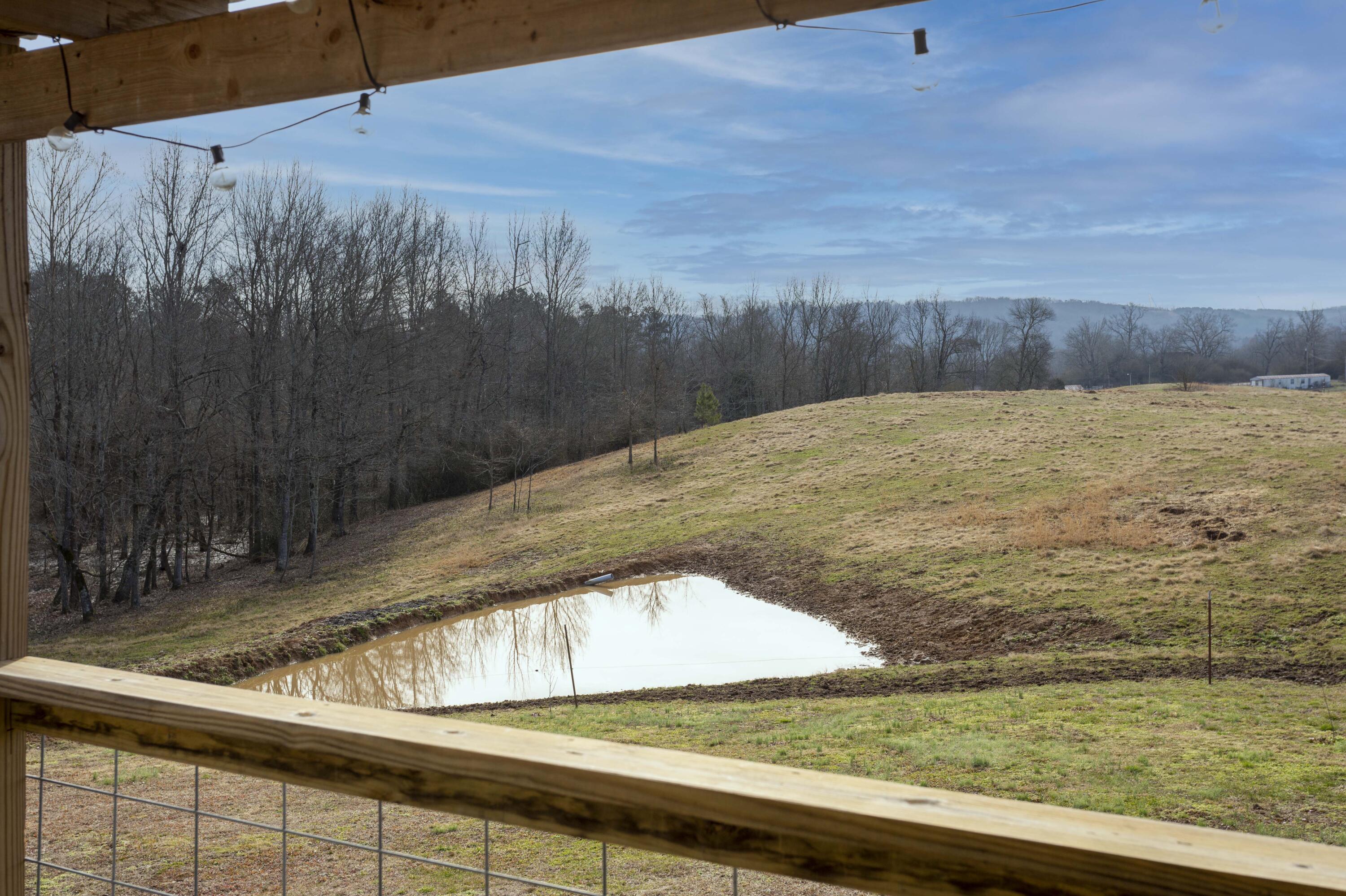 5051 Cottonport Road Dayton, TN 37321 - Photo 64 of 69 _00A3760