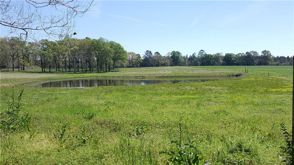 1833 McCoy Road Amite, LA 70422 - Photo 5 of 22 Gallery Image 5