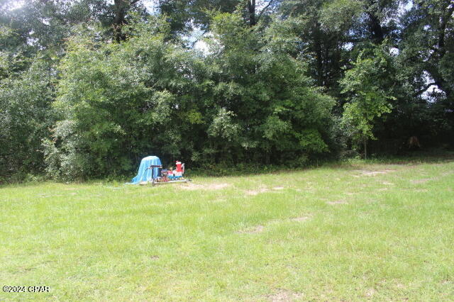 4583 Dickson Road Greenwood, FL 32443 - Photo 15 of 50