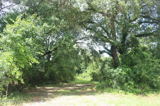 4583 Dickson Road Greenwood, FL 32443 - Photo 16 of 50