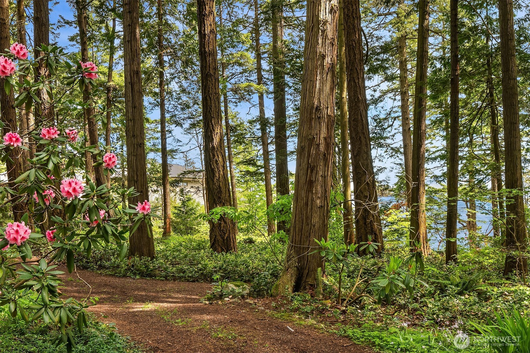 871 Deer Point Road Orcas Island, WA 98279 - Photo 31 of 38