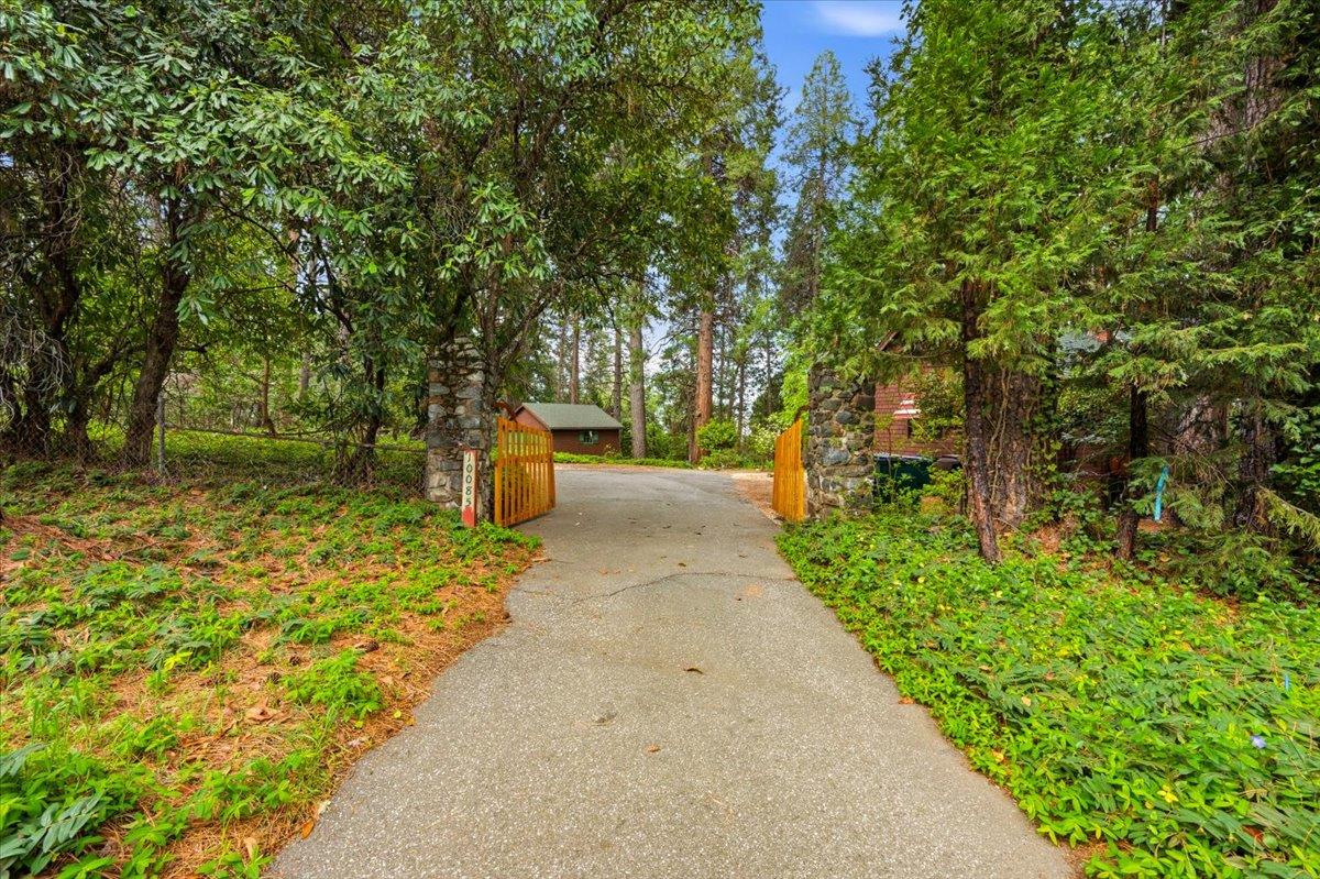 10085 Banner Lava Cap Road Nevada City, CA 95959 - Photo 2 of 58