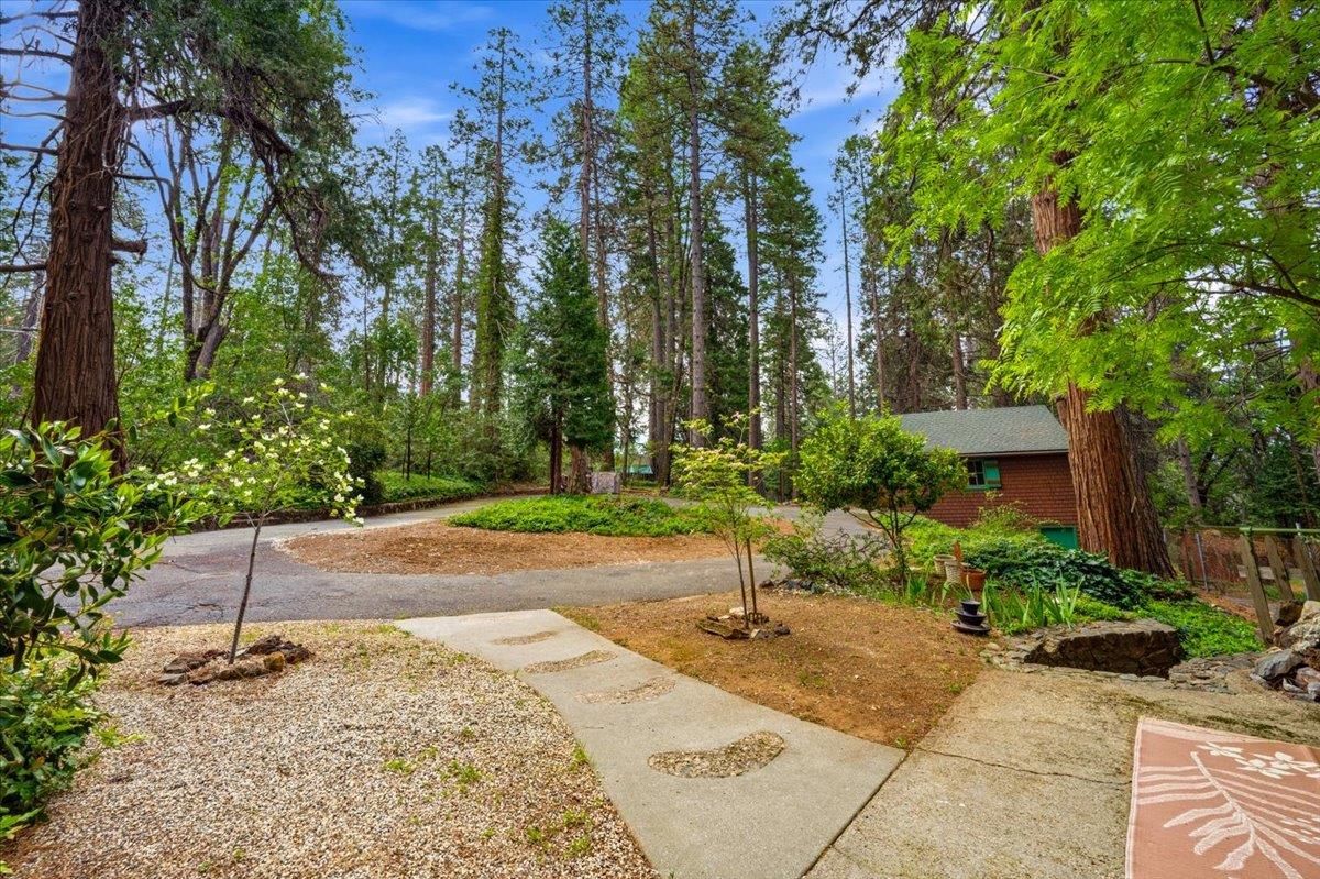 10085 Banner Lava Cap Road Nevada City, CA 95959 - Photo 34 of 58