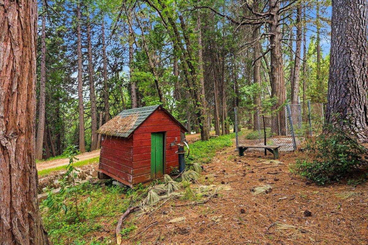 10085 Banner Lava Cap Road Nevada City, CA 95959 - Photo 49 of 58