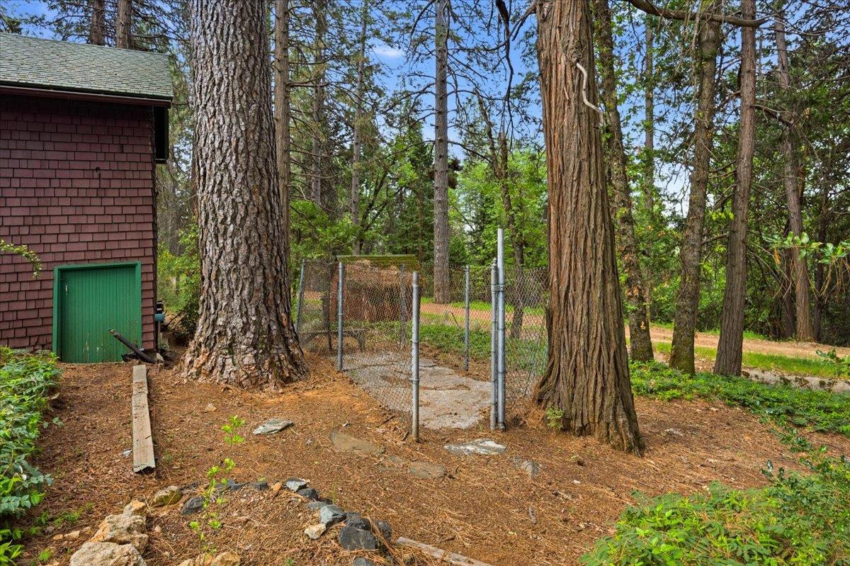 10085 Banner Lava Cap Road Nevada City, CA 95959 - Photo 50 of 58