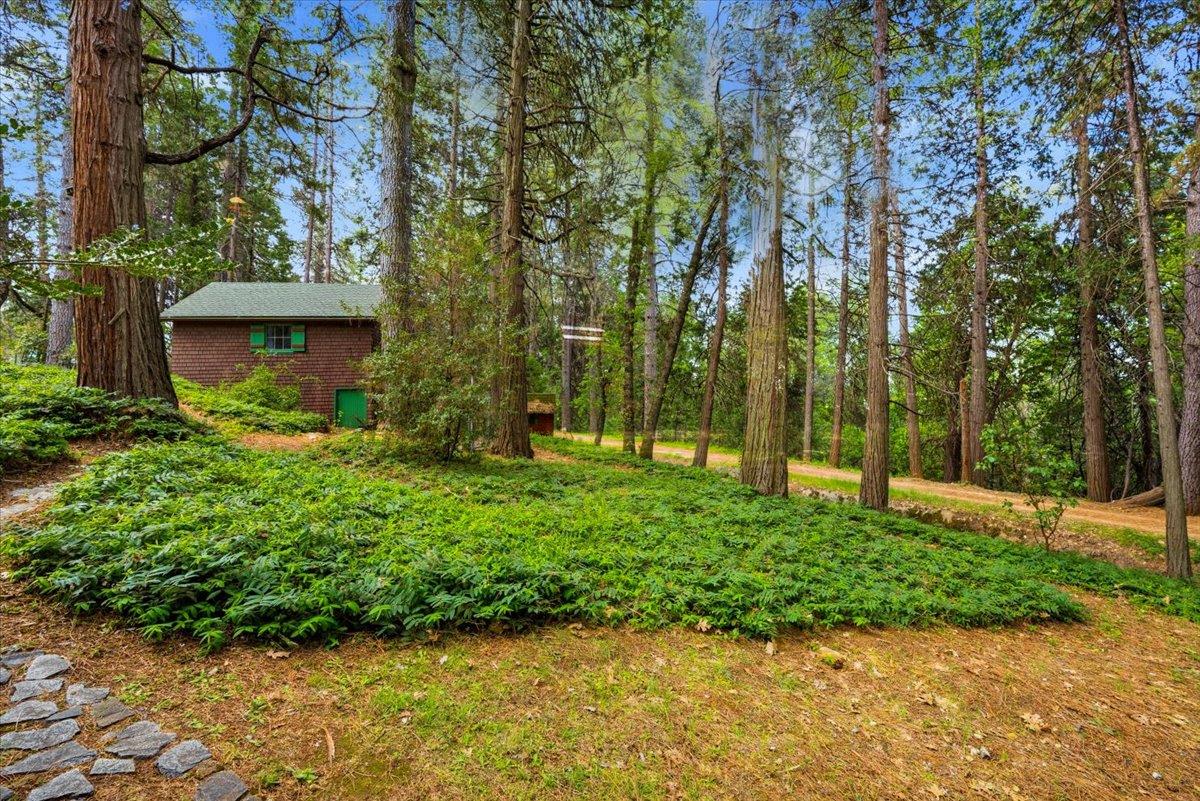 10085 Banner Lava Cap Road Nevada City, CA 95959 - Photo 51 of 58