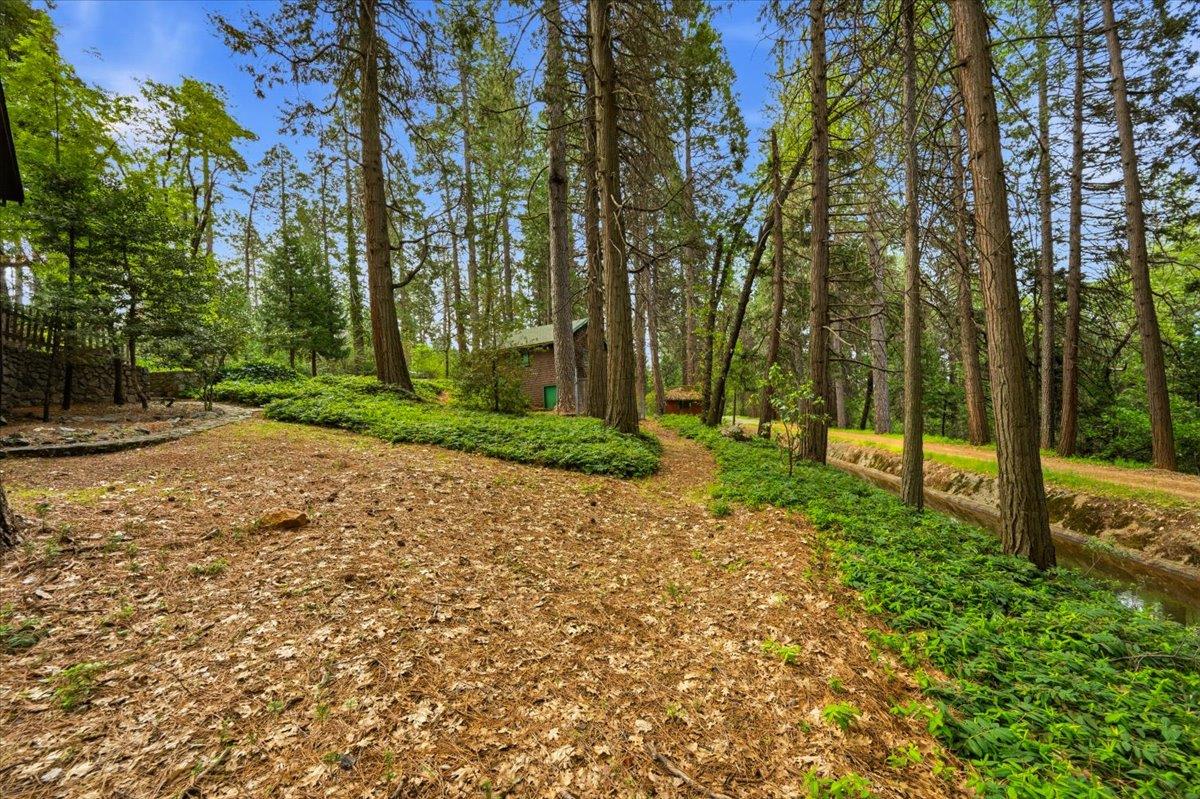 10085 Banner Lava Cap Road Nevada City, CA 95959 - Photo 52 of 58