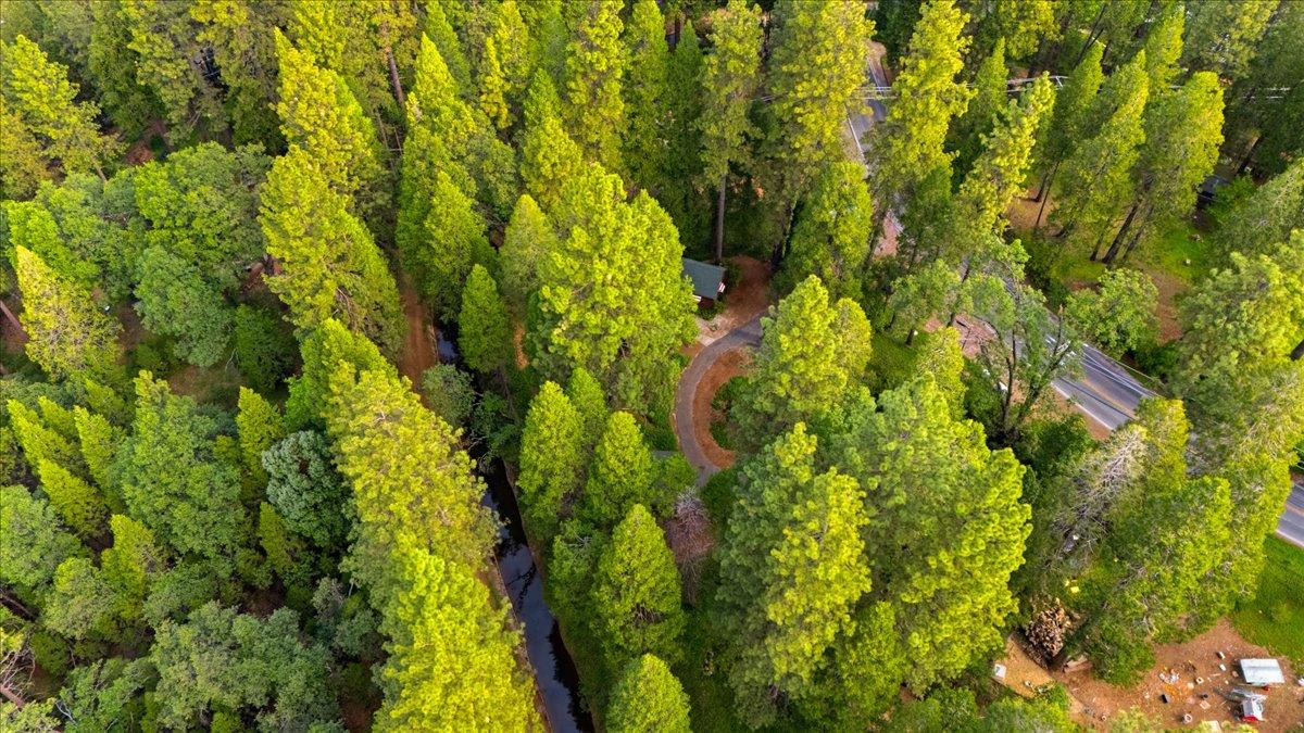 10085 Banner Lava Cap Road Nevada City, CA 95959 - Photo 53 of 58