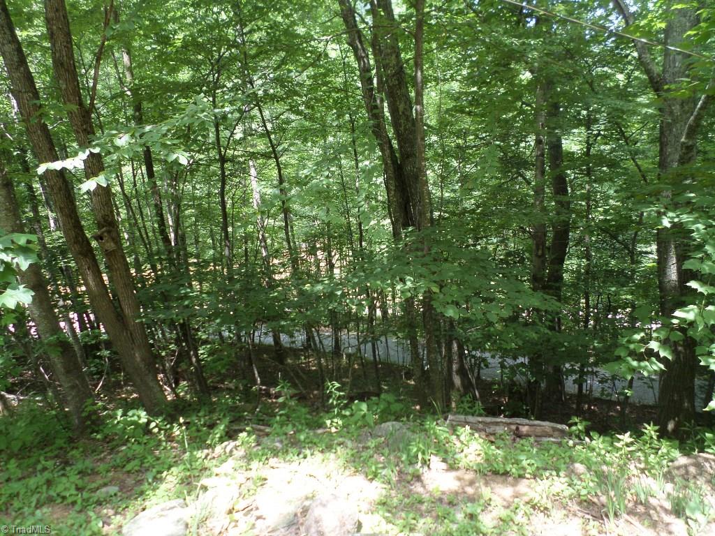 317 Nettles Ridge Road Banner Elk, NC 28604 - Photo 13 of 15 Gallery Image 13