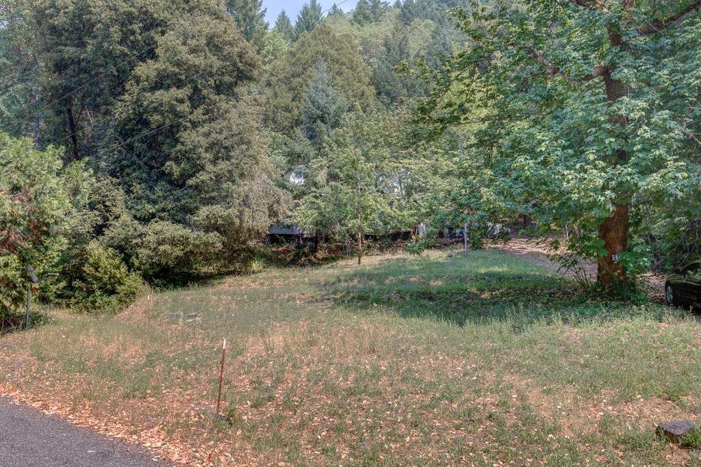 5645 Thompson Creek Road Selma, OR 97538 - Photo 1 of 9 Primary Photo