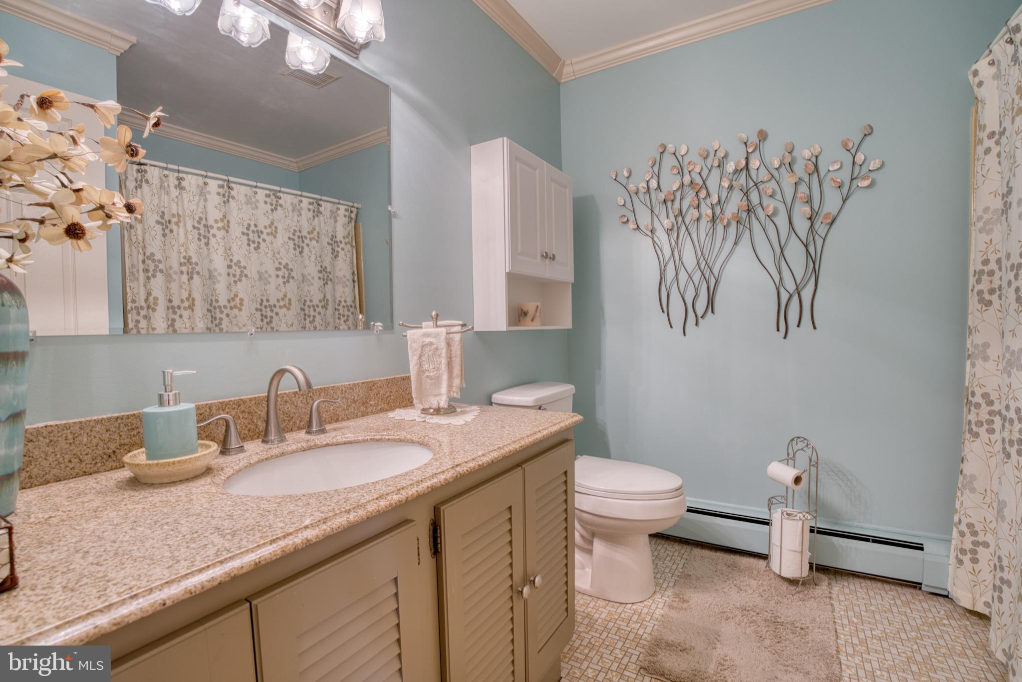2026 Fallsgrove Way Fallston, MD 21047 - Photo 51 of 62 a bathroom with a granite countertop sink a toilet and a mirror