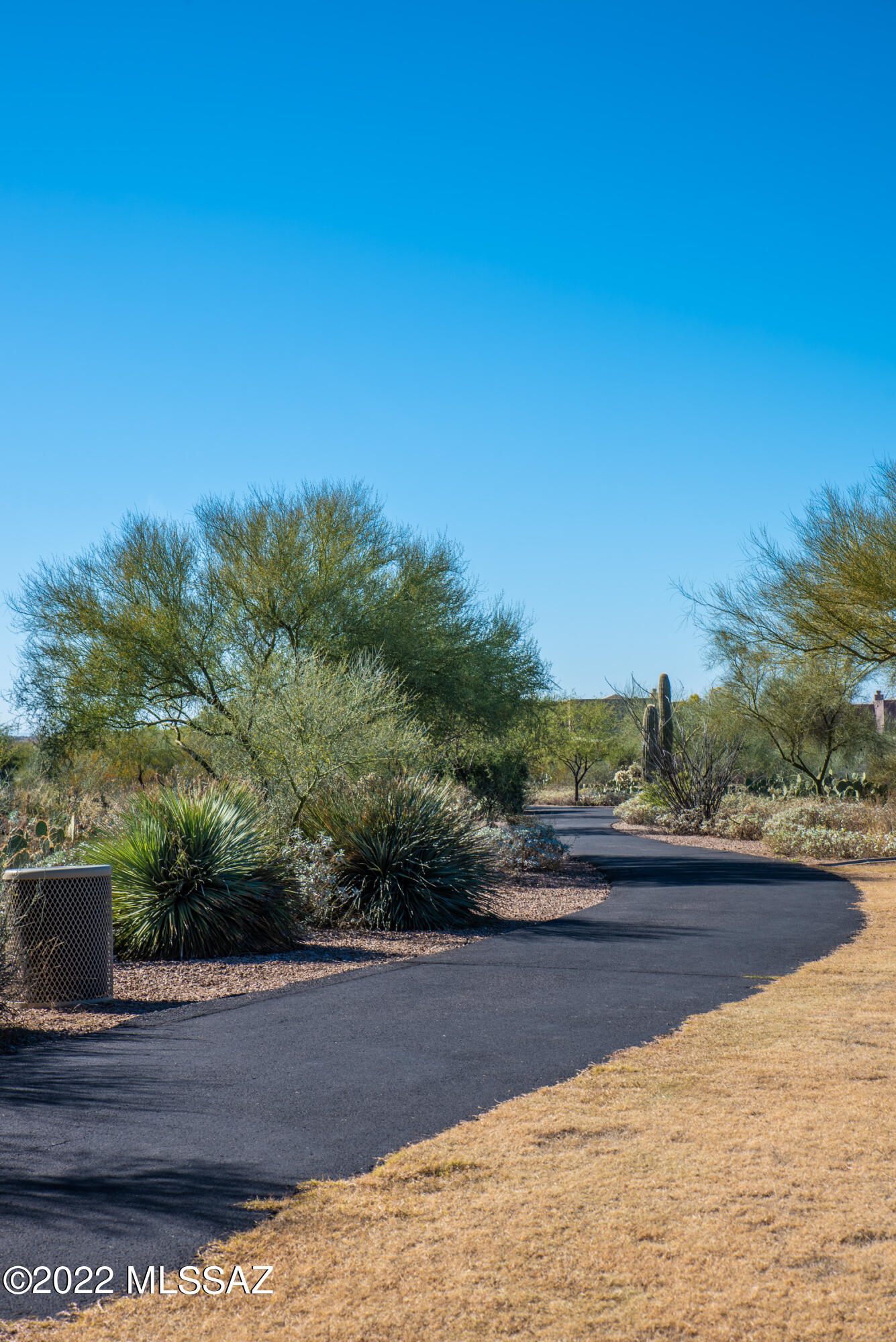 9366 South Via Famero Vail, AZ 85641 - Photo 49 of 50
