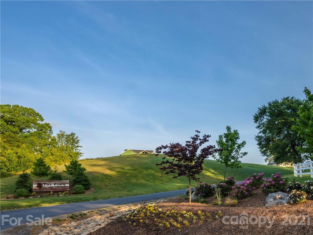 16 Pisgah Ridge Trail Arden, NC 28704 - Photo 10 of 14 a view of a street with a yard