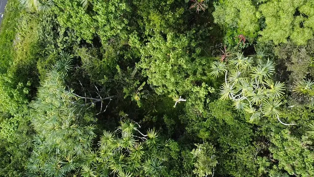 $29,500 | 1102 Kahakai Boulevard, Pahoa, HI 96778