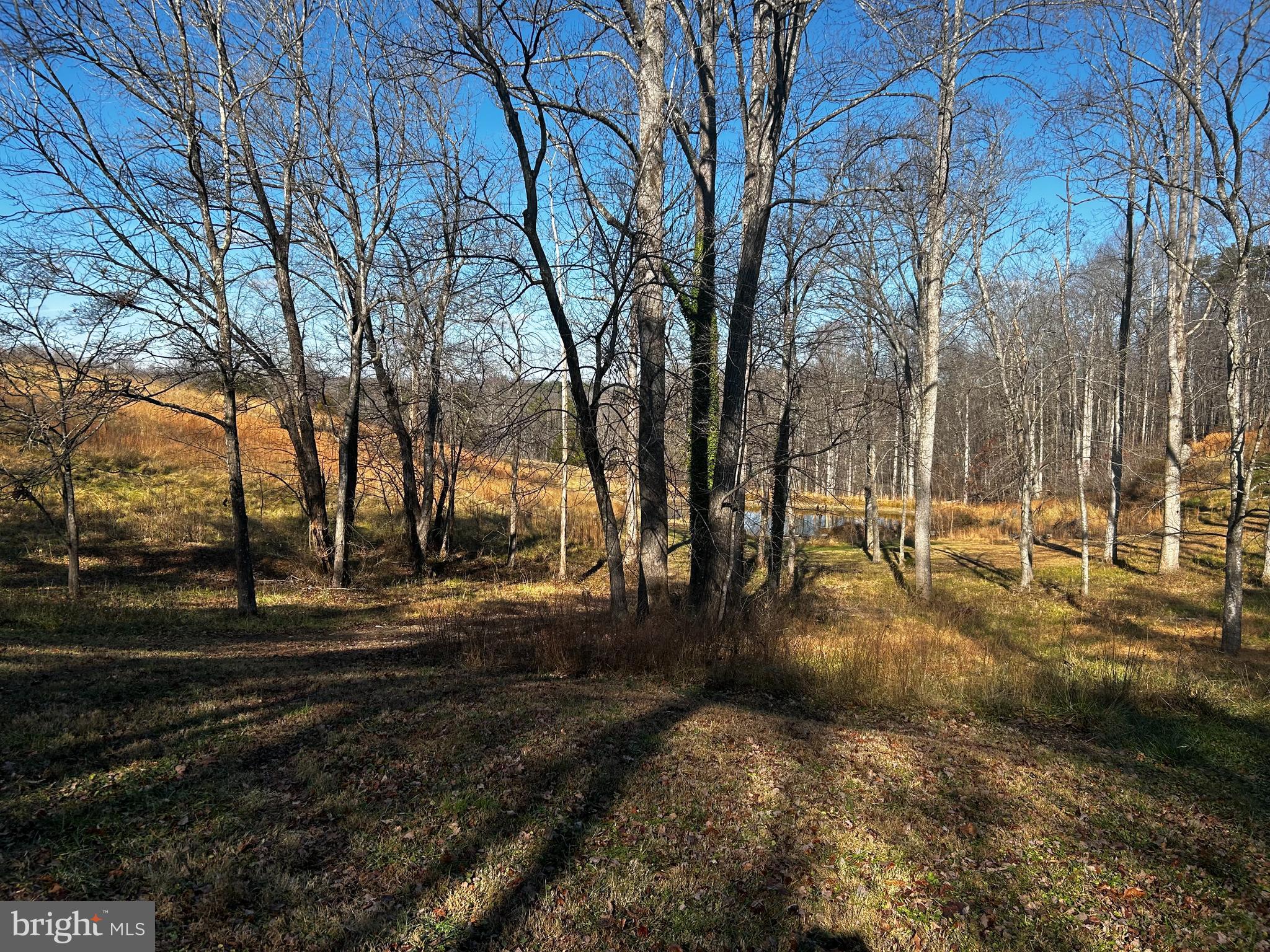 436 Hinsons Ford Road Amissville, VA 20106 - Photo 11 of 54 a view of a yard with trees