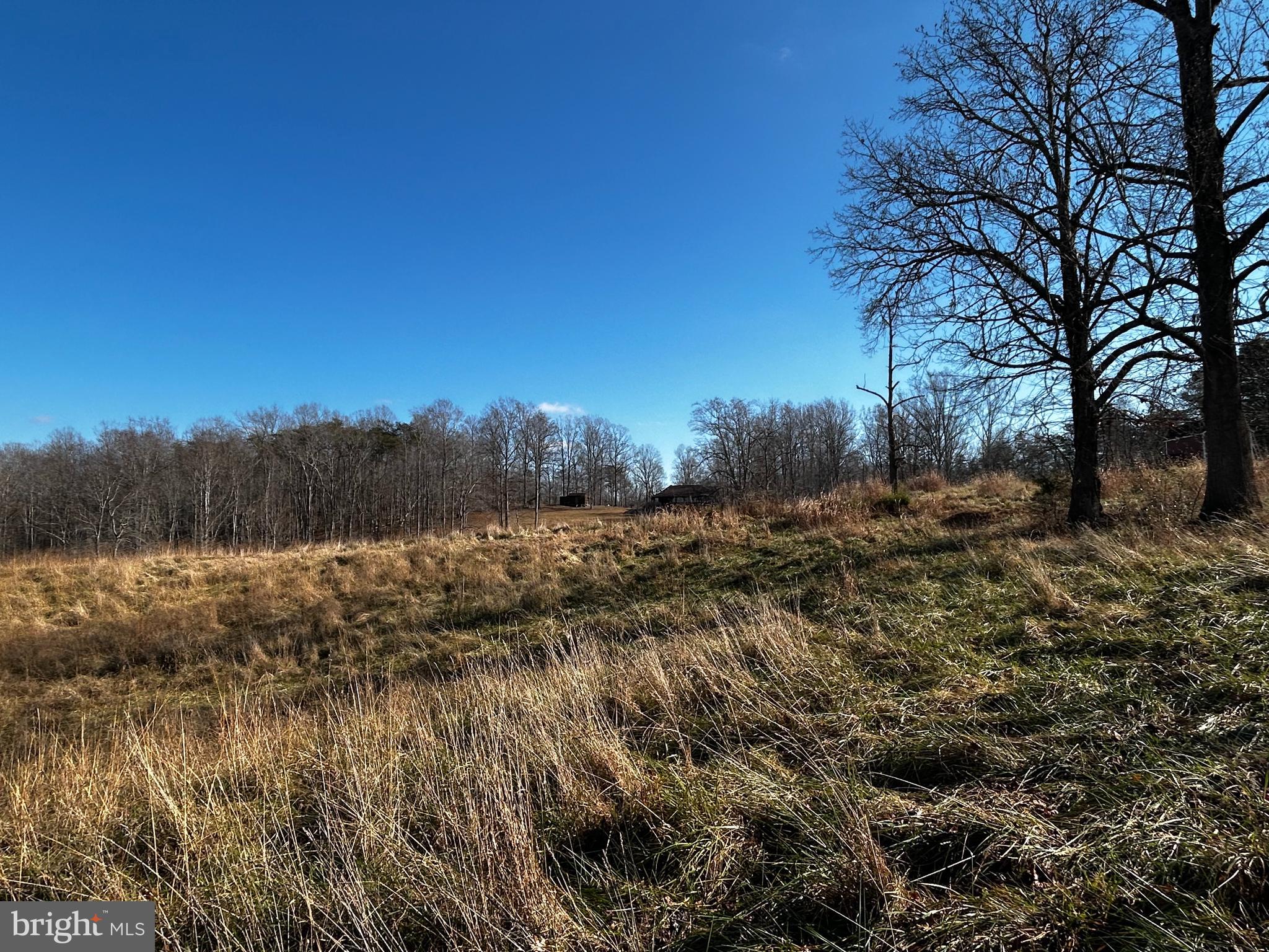 436 Hinsons Ford Road Amissville, VA 20106 - Photo 12 of 54 a view of mountain covered with trees