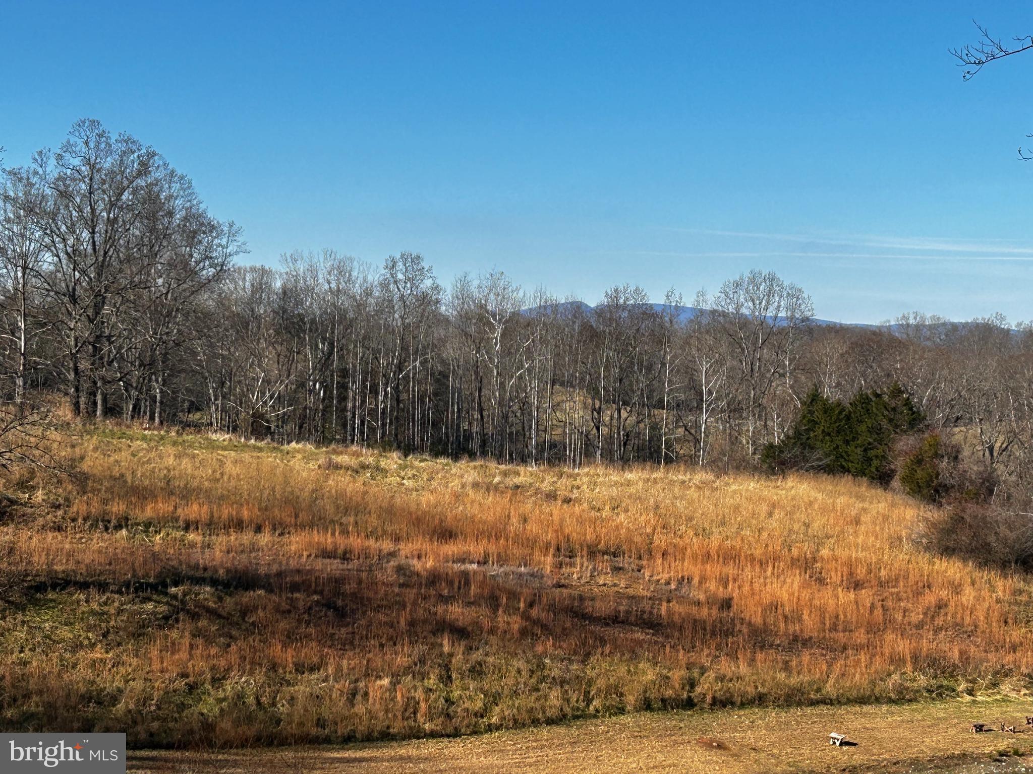 436 Hinsons Ford Road Amissville, VA 20106 - Photo 16 of 54 a view of a yard