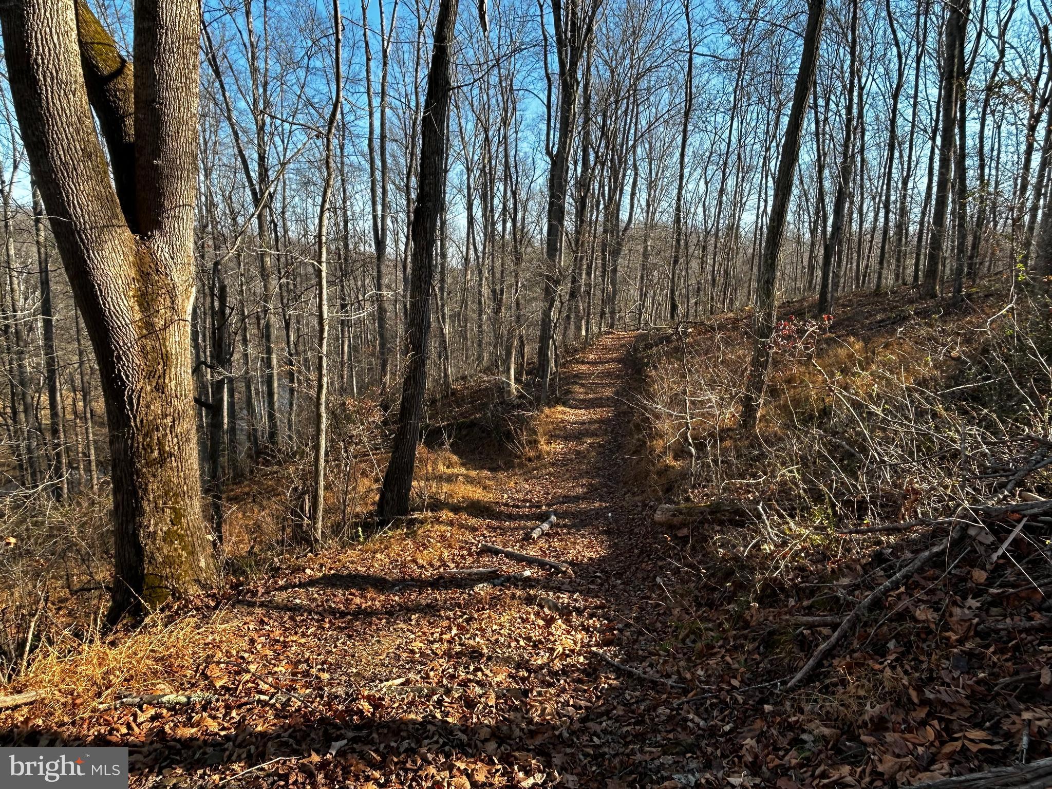 436 Hinsons Ford Road Amissville, VA 20106 - Photo 20 of 54 a view of small yard