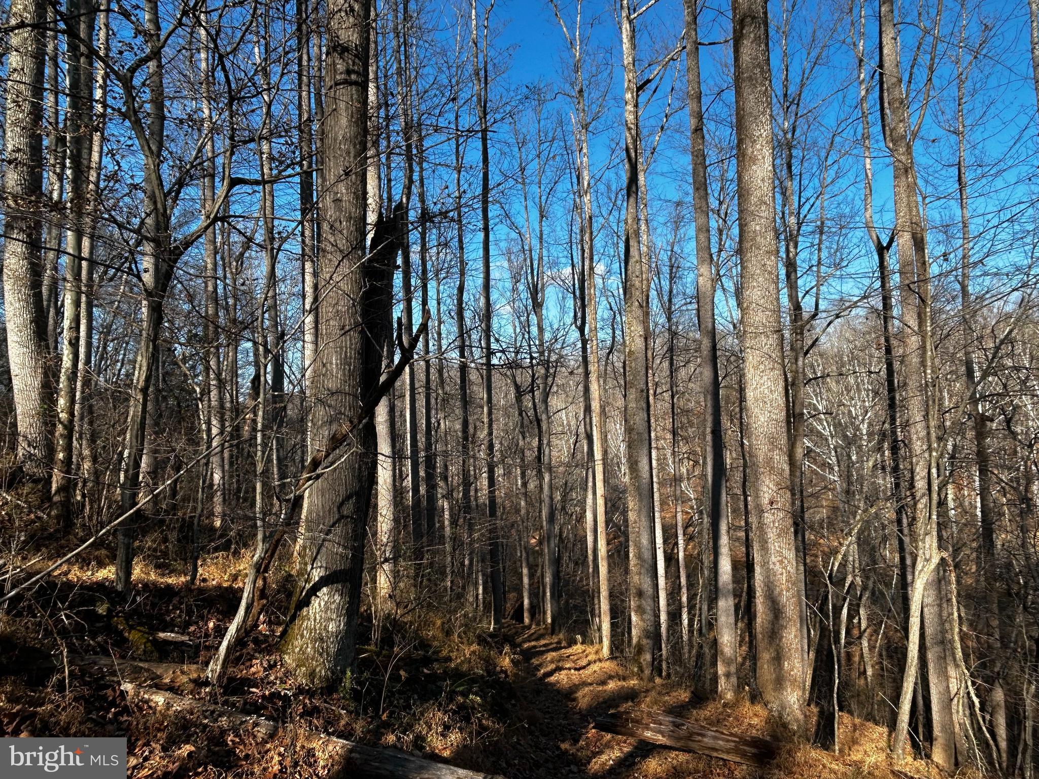 436 Hinsons Ford Road Amissville, VA 20106 - Photo 21 of 54 a view of a backyard of the house