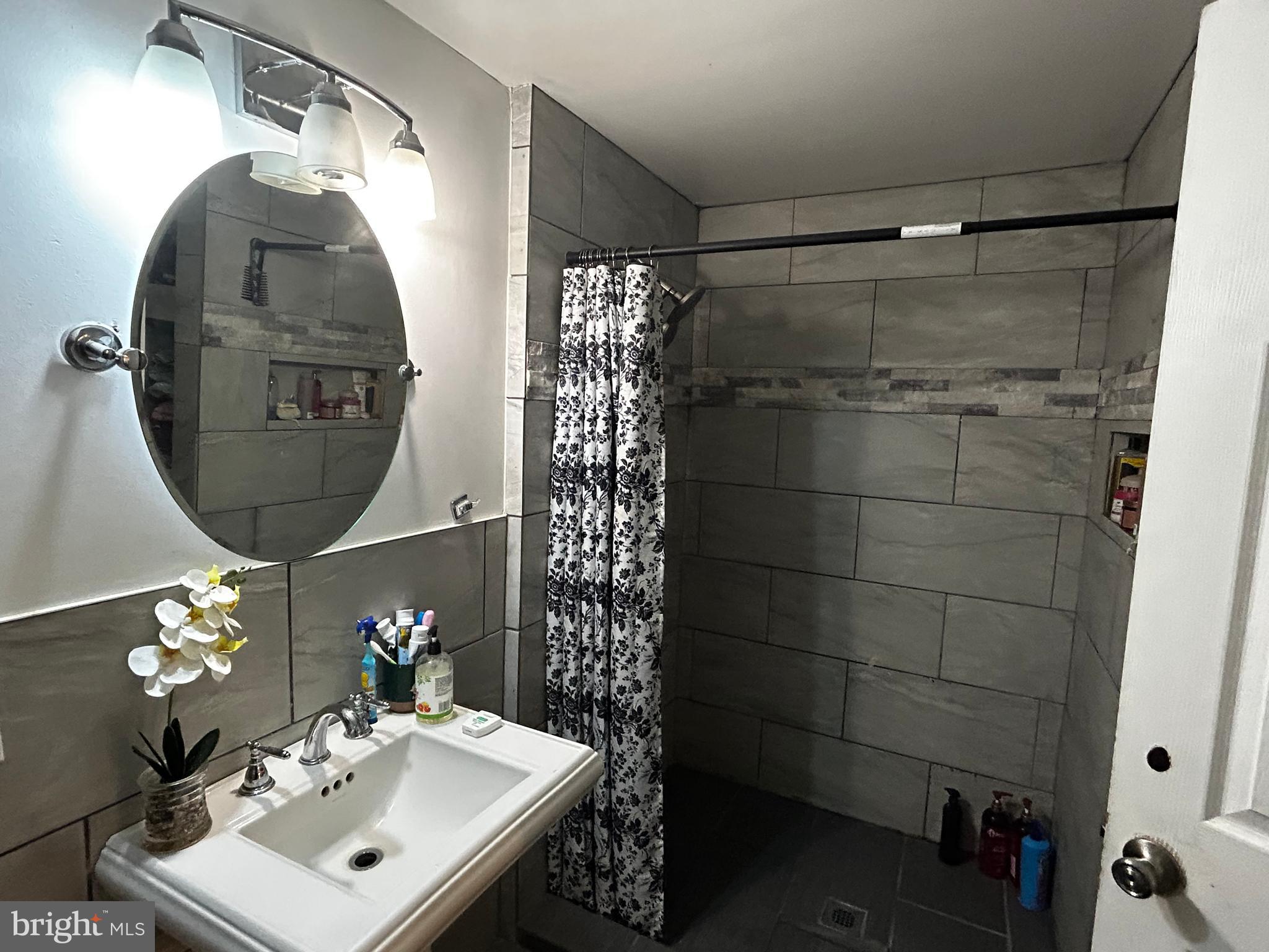 436 Hinsons Ford Road Amissville, VA 20106 - Photo 52 of 54 a bathroom with a sink a mirror and a shower