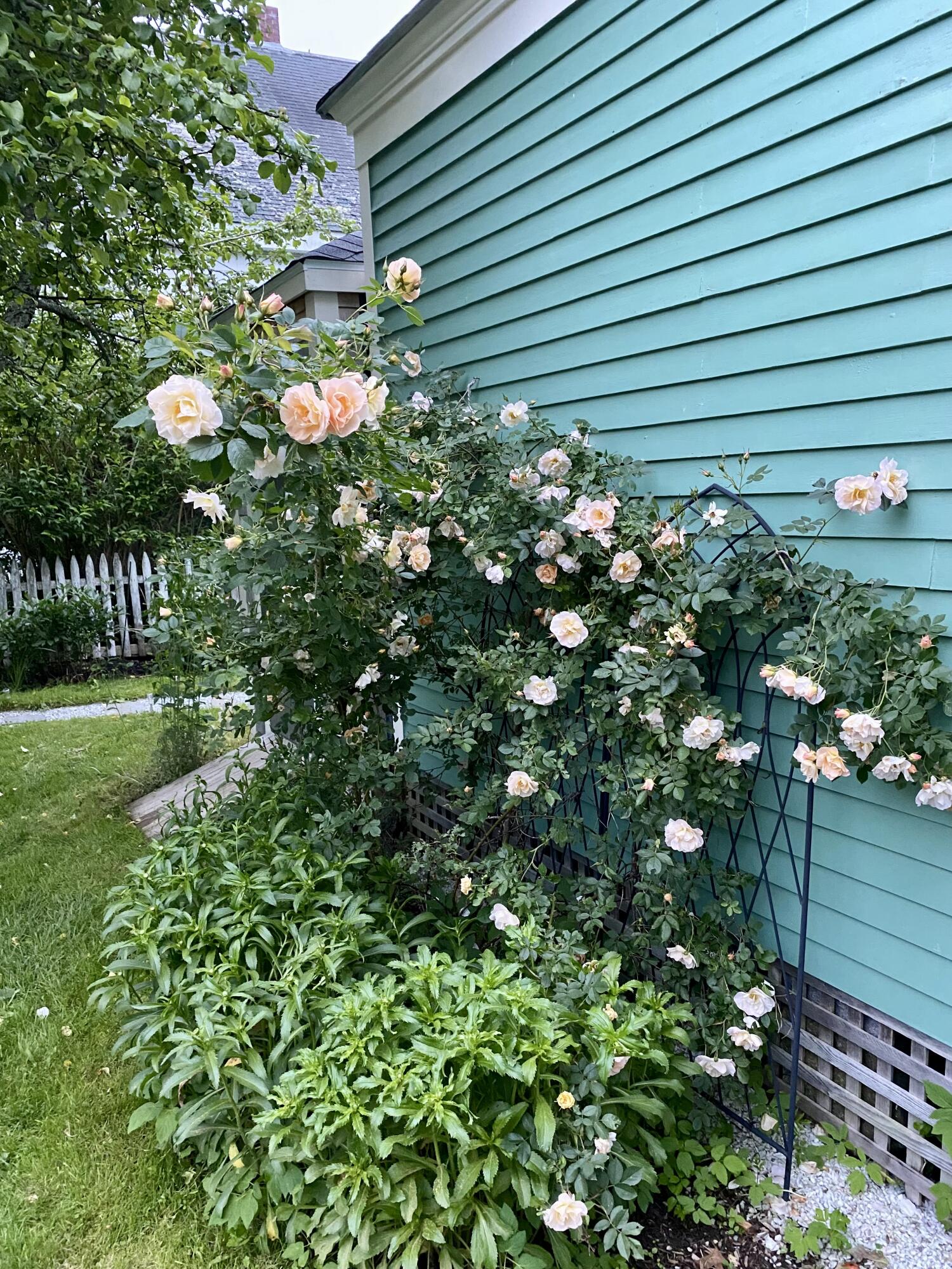 14 Water Street Vinalhaven, ME 04863 - Photo 42 of 47 IMG_9908-preview