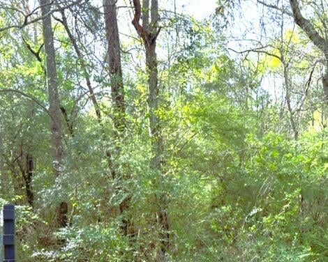 0 Moore Road Hattiesburg, MS 39401 - Photo 1 of 1 120 acres awaits your imagination for your dream home estate that will last for decades to come!