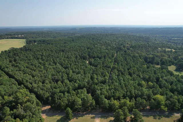 a view of lake background with green space