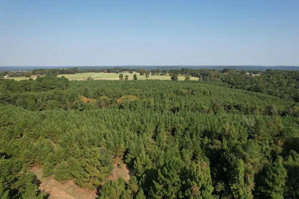 an aerial view of a houses with a yard