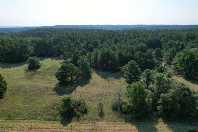 $867,617 | 1220 St Grapeland Tx 75844, Grapeland, TX 75844