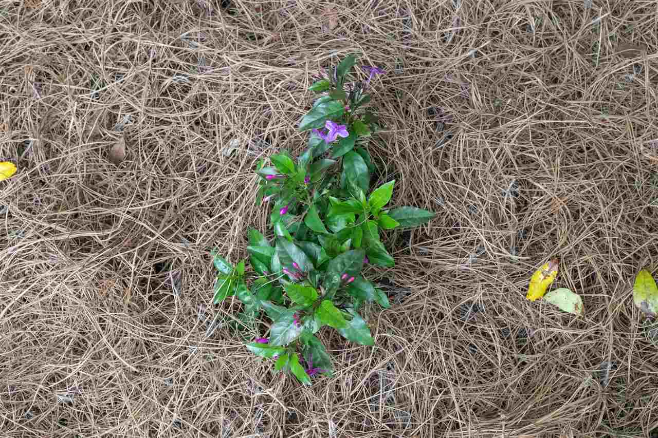 1924 Trimble Road Tallahassee, FL 32303 - Photo 25 of 35