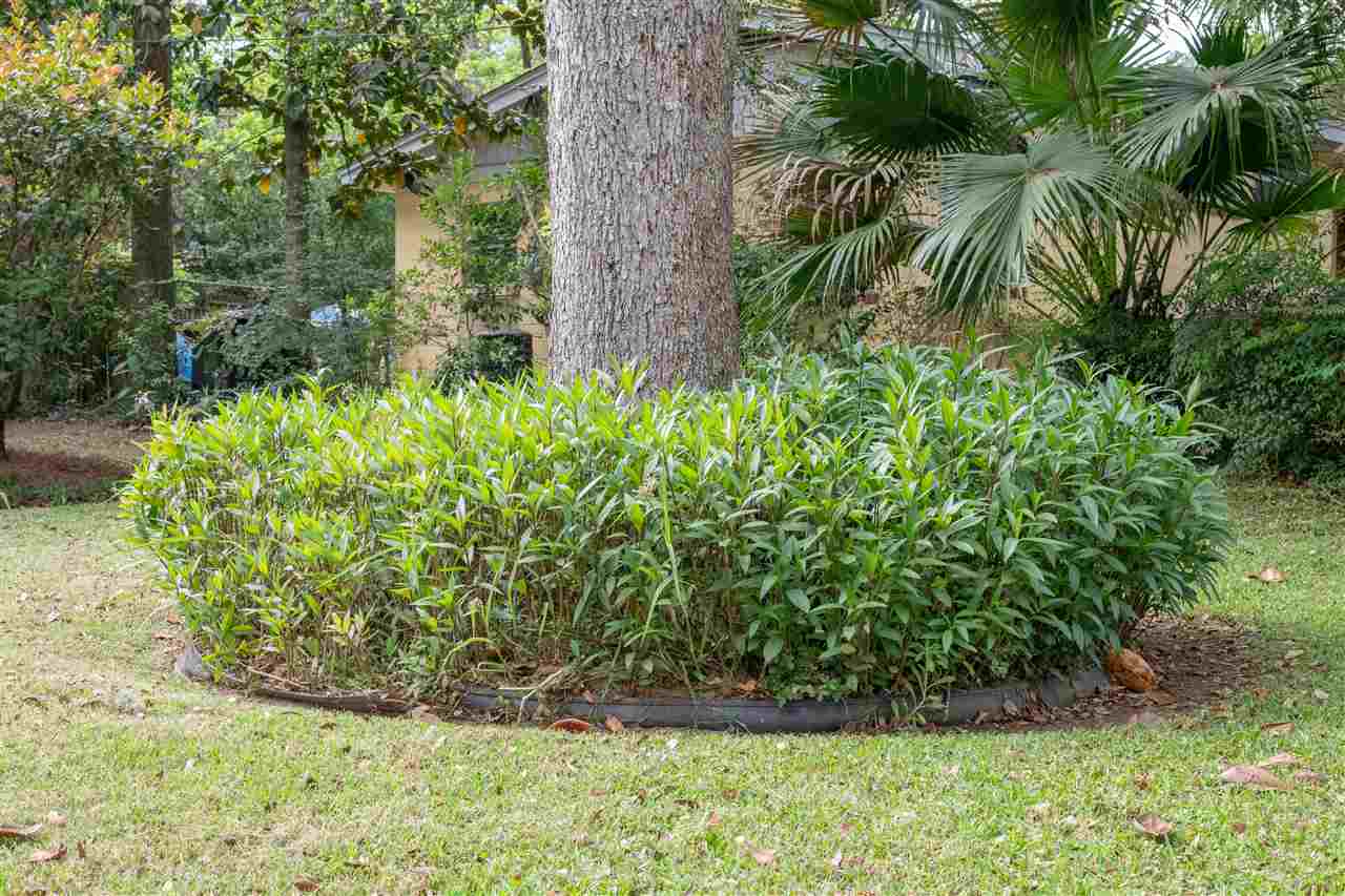 1924 Trimble Road Tallahassee, FL 32303 - Photo 33 of 35