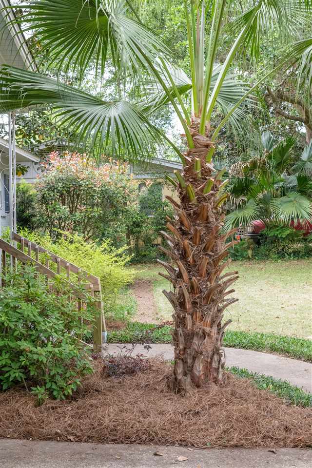 1924 Trimble Road Tallahassee, FL 32303 - Photo 4 of 35