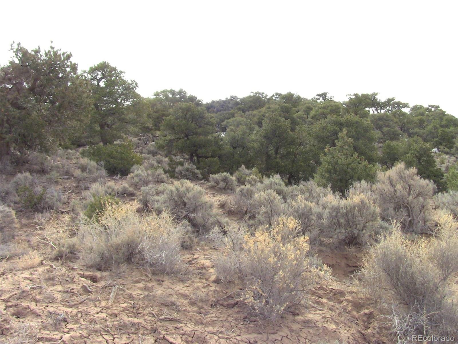877 Juarez Road Fort Garland, CO 81133 - Photo 11 of 13 Gallery Image 11
