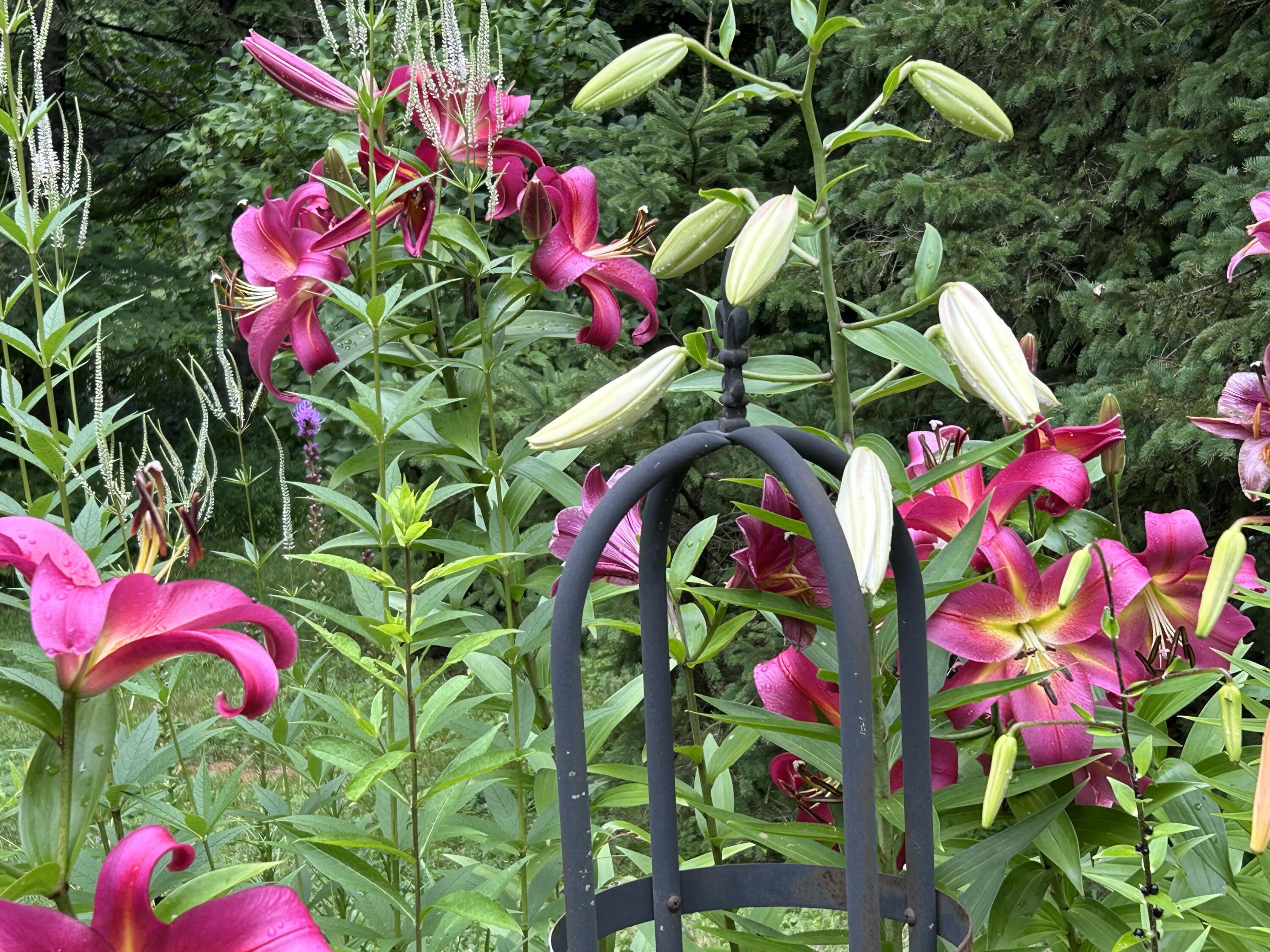 73 Head Of The Tide Road Belfast, ME 04915 - Photo 19 of 45 Garden Flowers