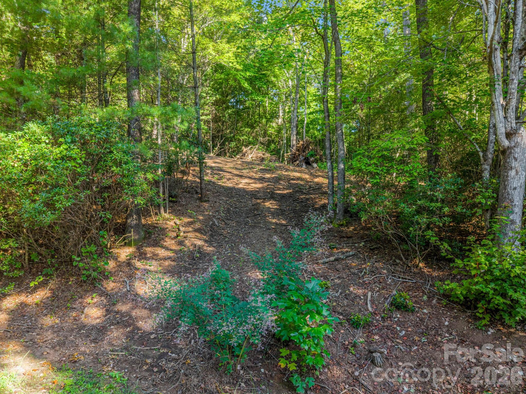130 Summit Rise Road Pisgah Forest, NC 28768 - Photo 5 of 30 Gallery Image 5