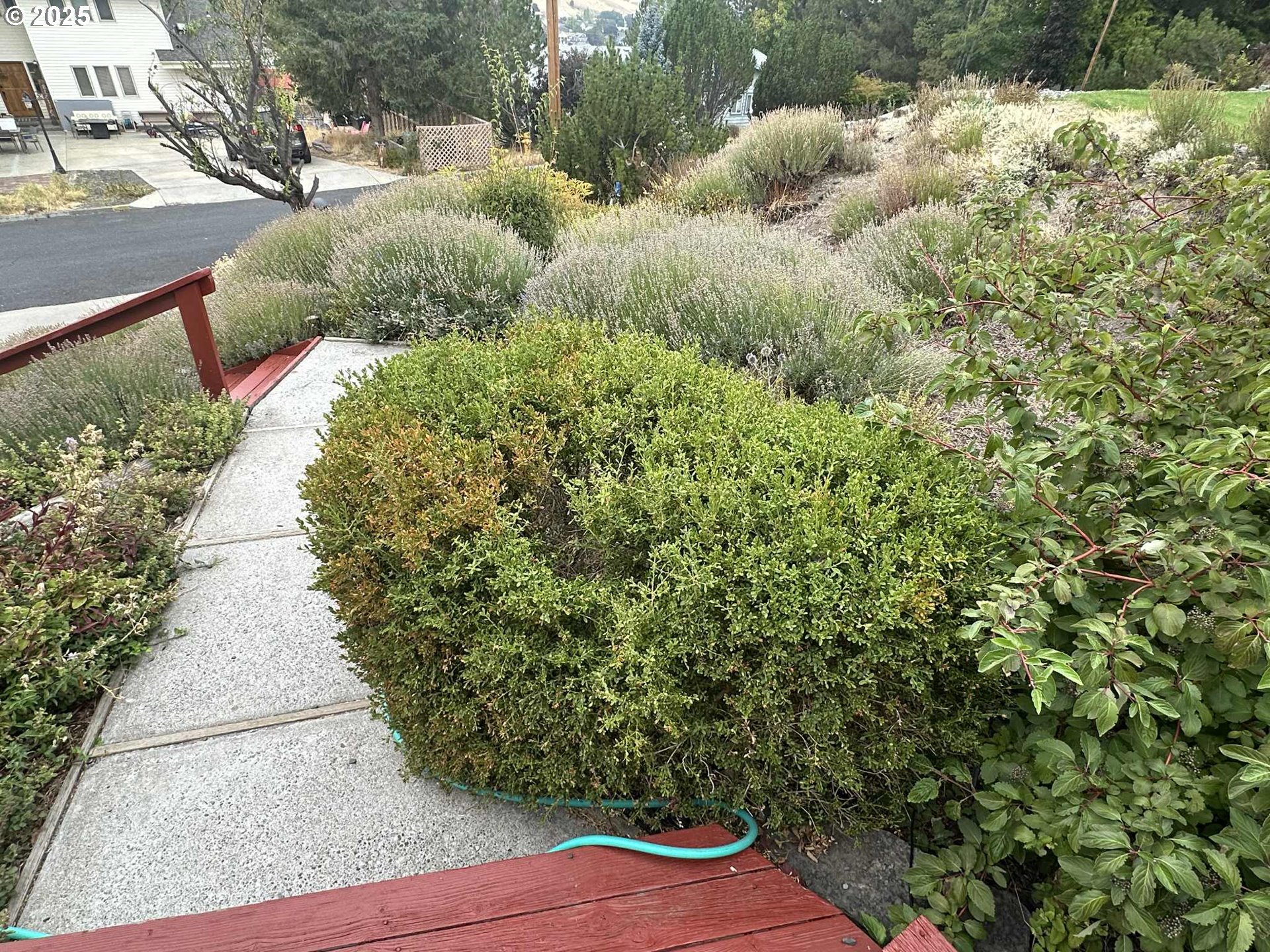 235 Rock Street Heppner, OR 97836 - Photo 16 of 27 a view of path along with trees