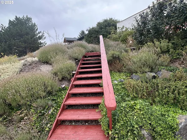 a view of a yard with plants