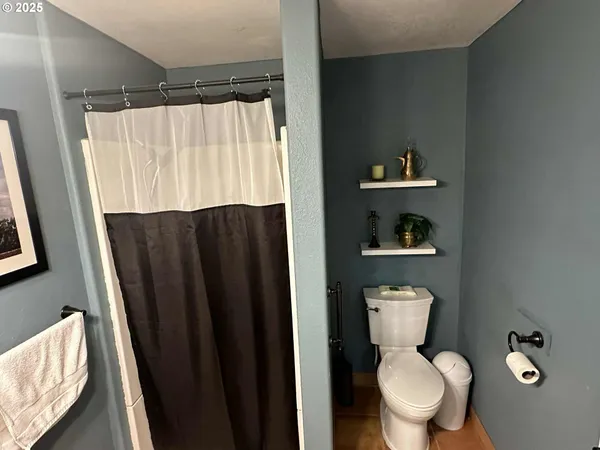 a bathroom with a toilet a sink and shower curtain
