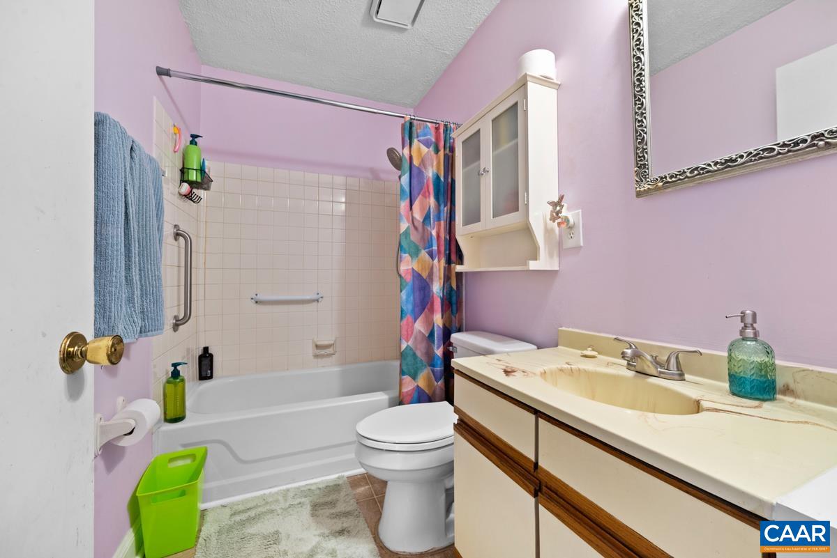 838 Matthew Mill Road Ruckersville, VA 22968 - Photo 7 of 12 a bathroom with a sink a toilet and shower