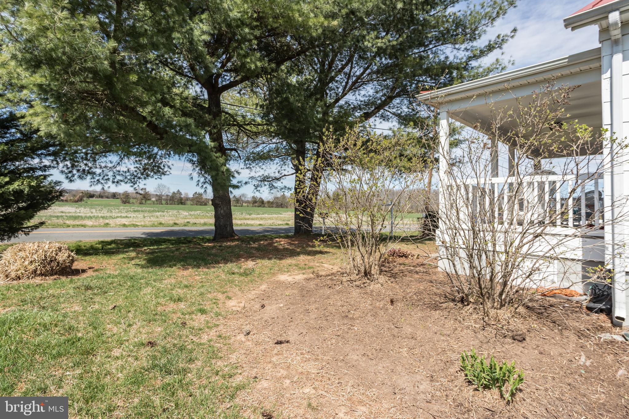View from front side yard