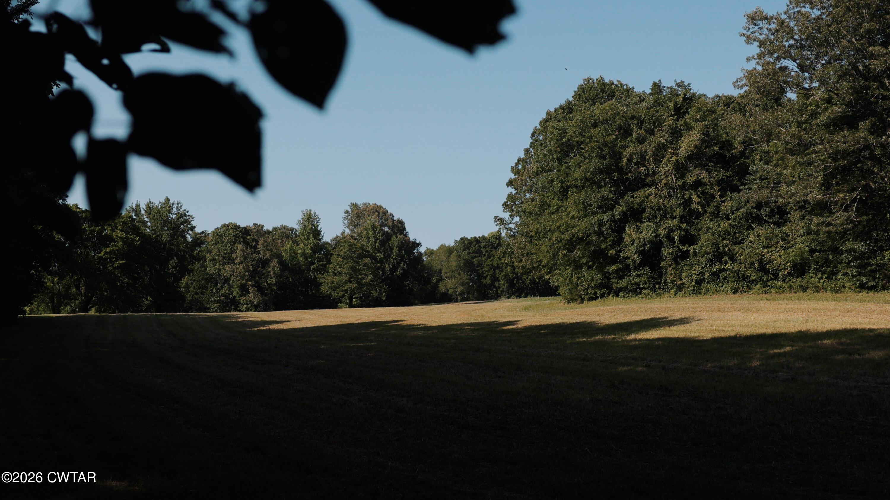 0 Ames Road Hickory Valley, TN 38042 - Photo 5 of 19 IMG_0339