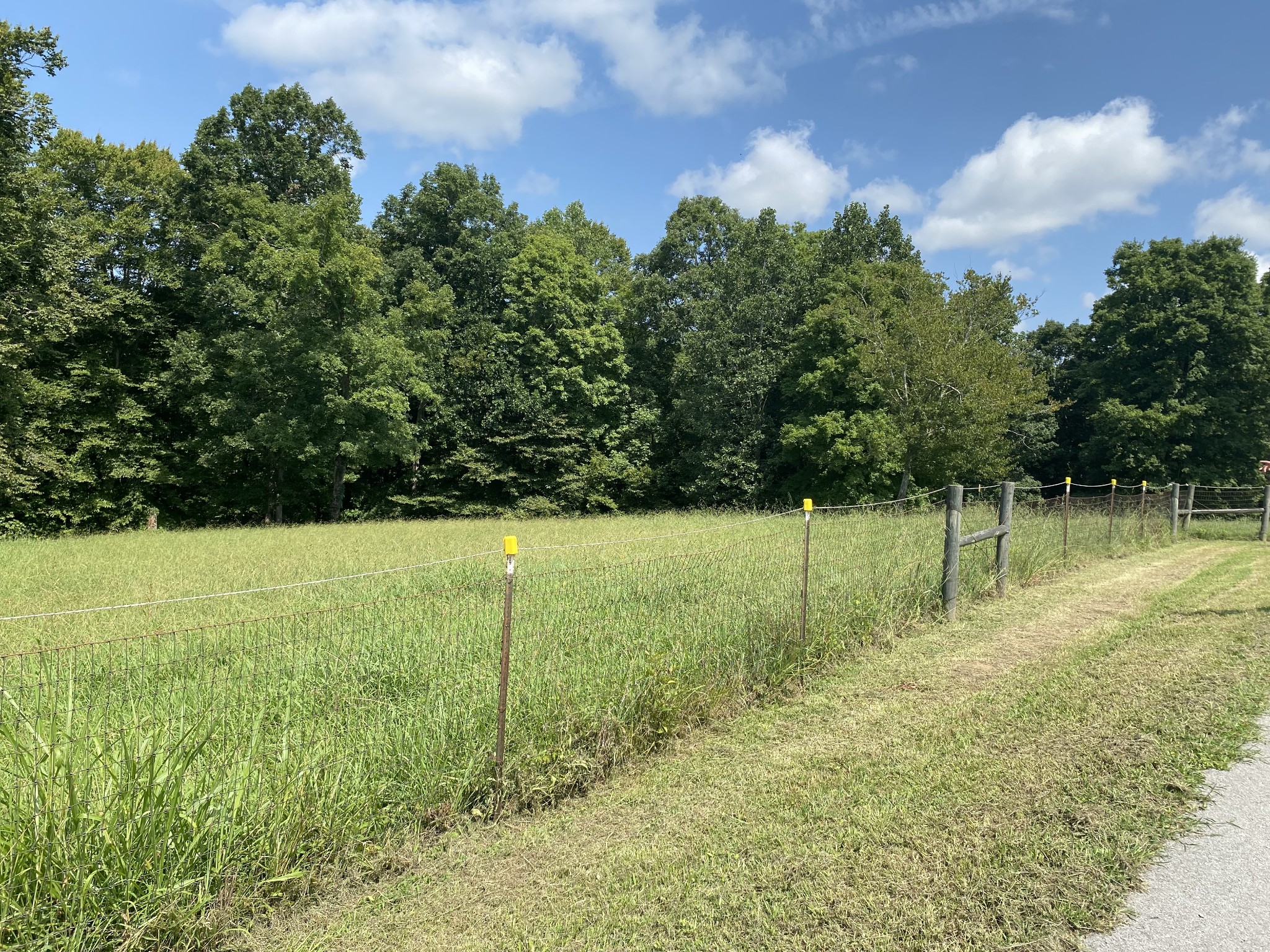 326 Sherman Road Charlotte, TN 37036 - Photo 17 of 45 Gallery Image 17
