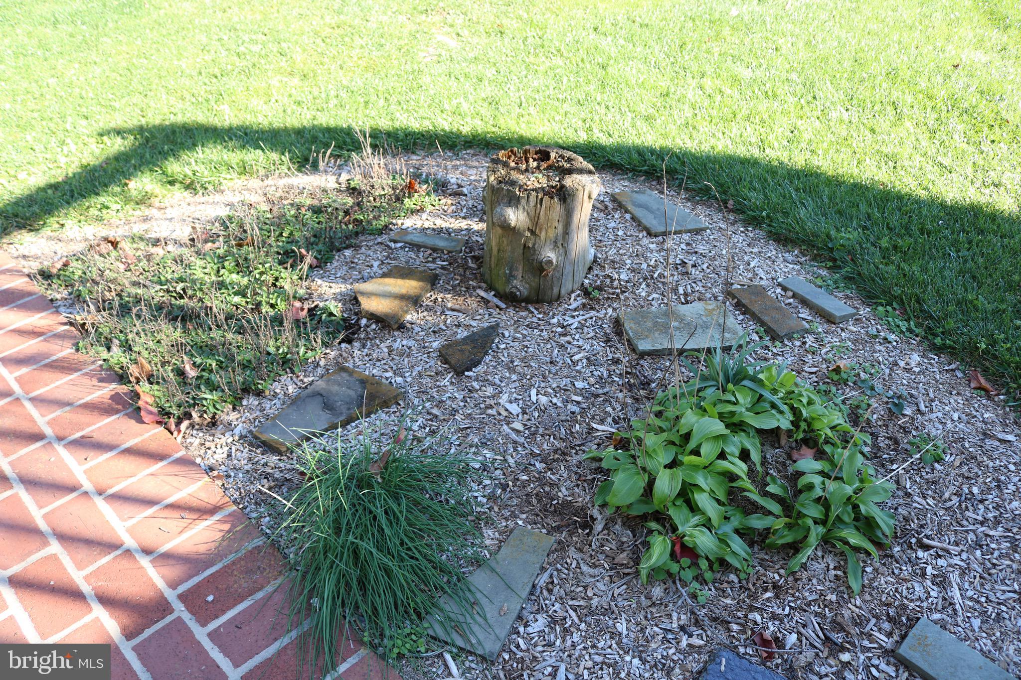 213 Audrey Drive Lititz, PA 17543 - Photo 20 of 65 Septic lid nicely hidden