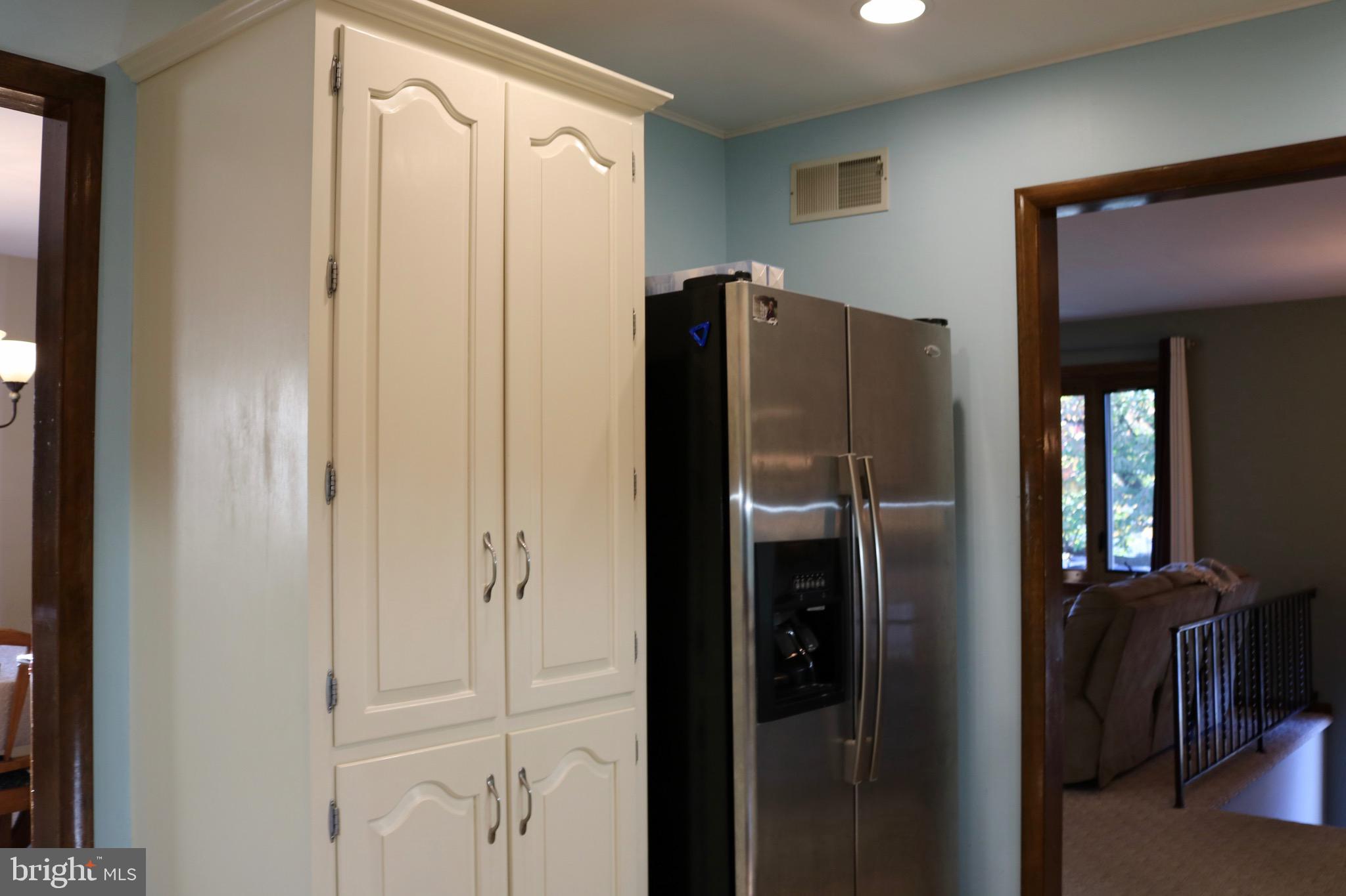 213 Audrey Drive Lititz, PA 17543 - Photo 41 of 65 Large pantry