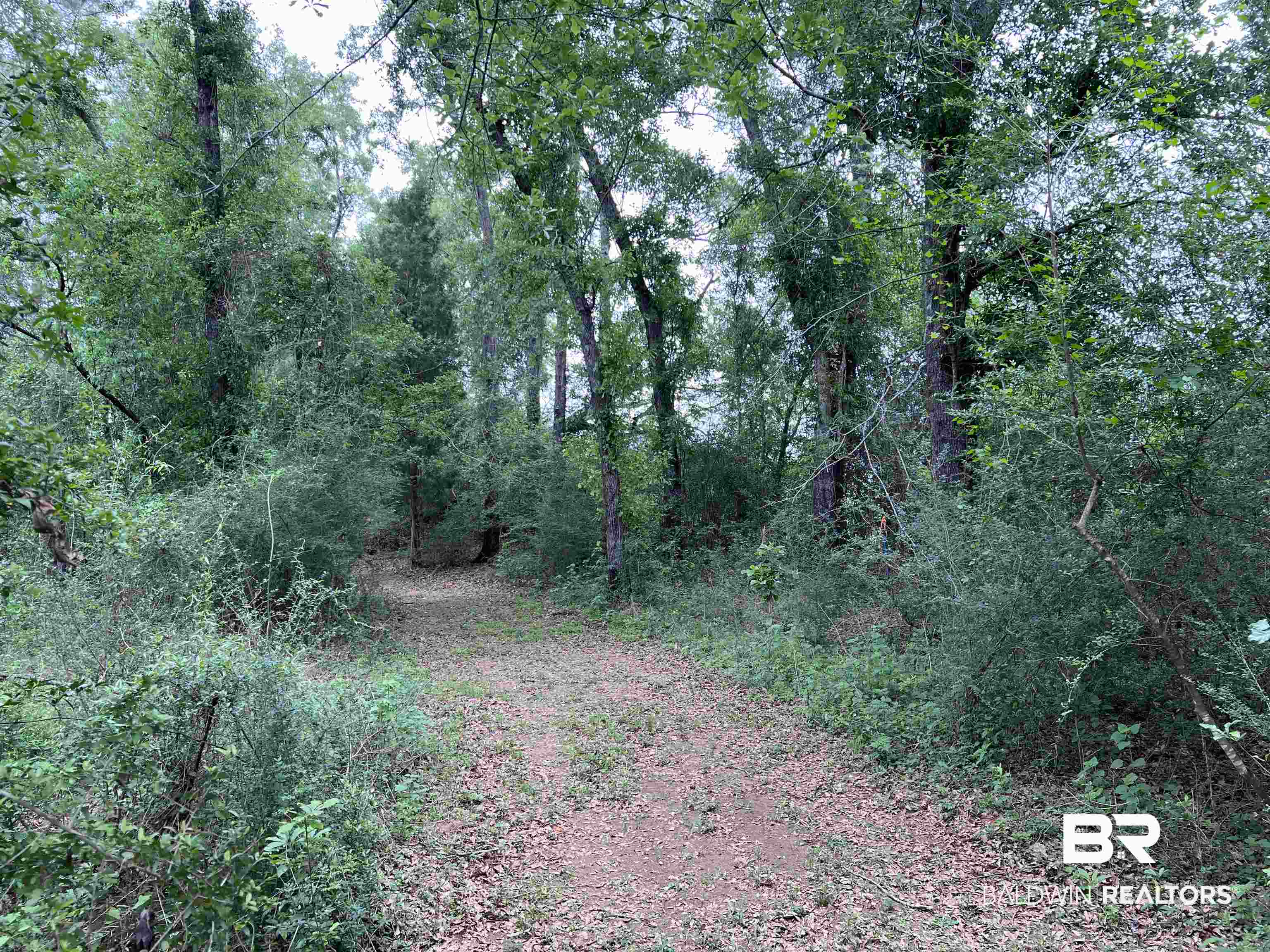 5100 Wiggins Lake Road Walnut Hill, FL 32568 - Photo 32 of 41