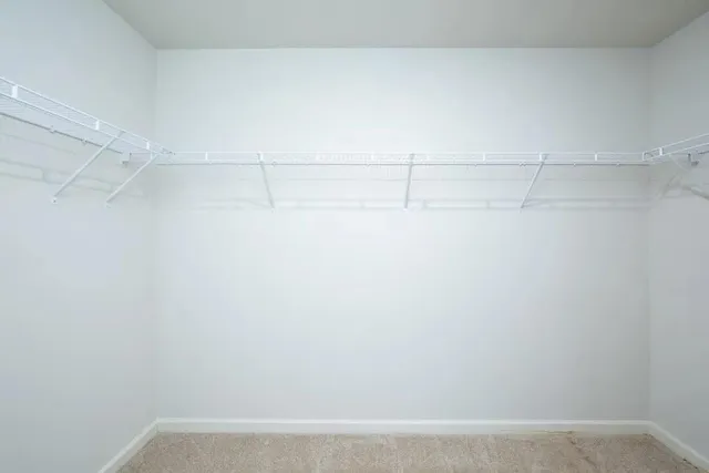 a view of a closet with racks on the wall
