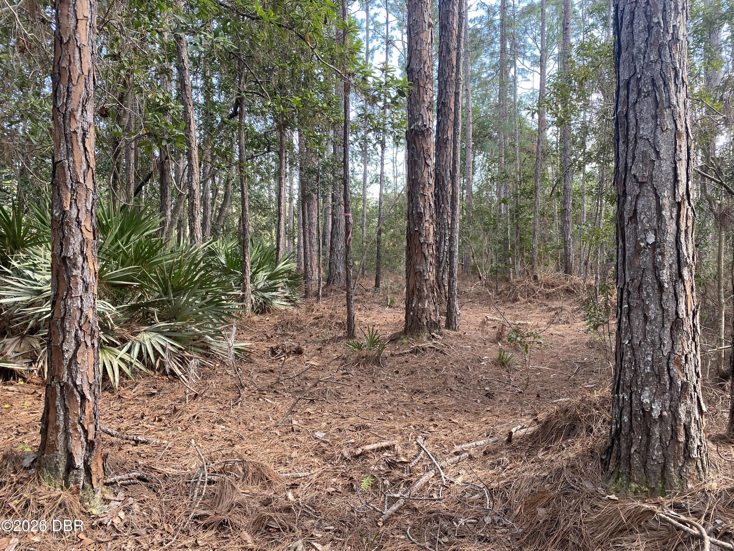 4205 Quail Ranch Road New Smyrna Beach, FL 32168 - Photo 45 of 50 51408FB0-0056-4629-AFB6-DAA07AF0F7D0